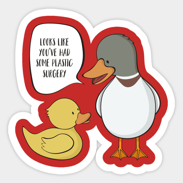 funny rubber ducky