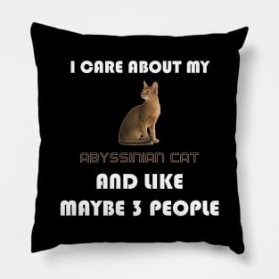 I Care About My Abyssinian Cat and Like Maybe 3 People Pillow