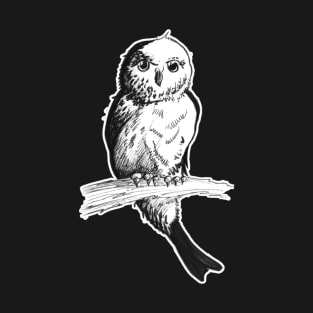 elf owl - vintage style wildlife inspired art T-Shirt