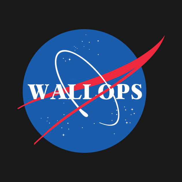 Wallops Flight Facility - NASA Meatball by ally1021