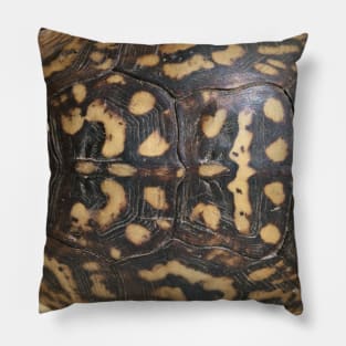 Turtle Shell pillow Pillow