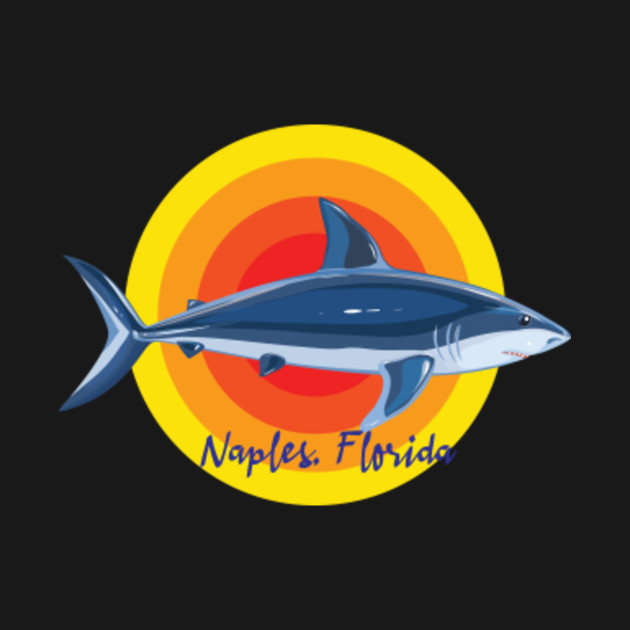 Discover Naples Florida - Naples Florida - T-Shirt