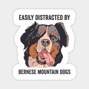 Easily Distracted By Bernese Mountain Dog Magnet