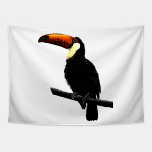 Toco toucan Tapestry