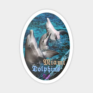 Miami dolphins Magnet