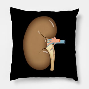 human Kidney anatomy Pillow