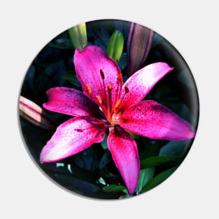 Pink Lily Pin