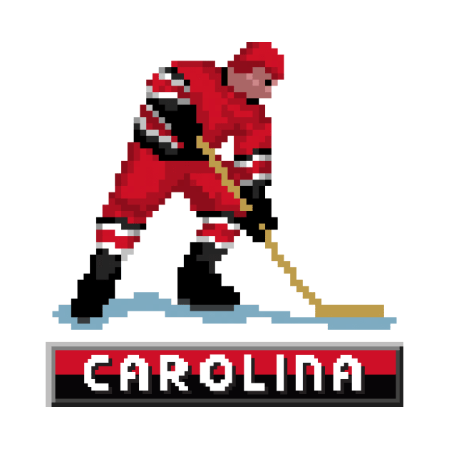 Carolina Hockey by clarkehall