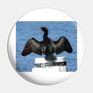 Little Black Cormorant Pin