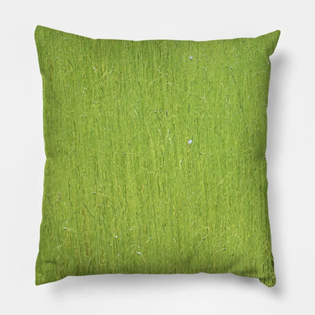 Green Green Grass Pillow by Scribblenstuf