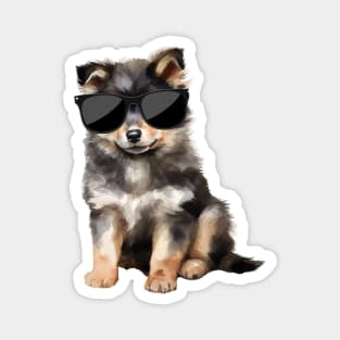 Finnish Lapphund Puppy Wearing Sunglasses Magnet