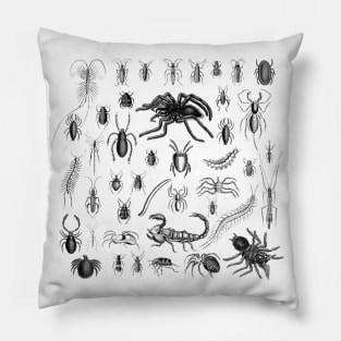 Goblincore Aesthetic Creepy Insects Entomology Entomophobia Pillow