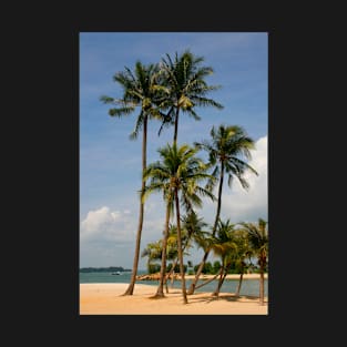 A palm lined beach in the tropics T-Shirt