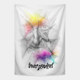 Transzendent Tapestry