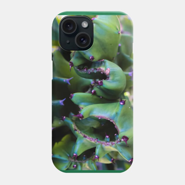 Abstract view from a cactus part Phone Case by kall3bu