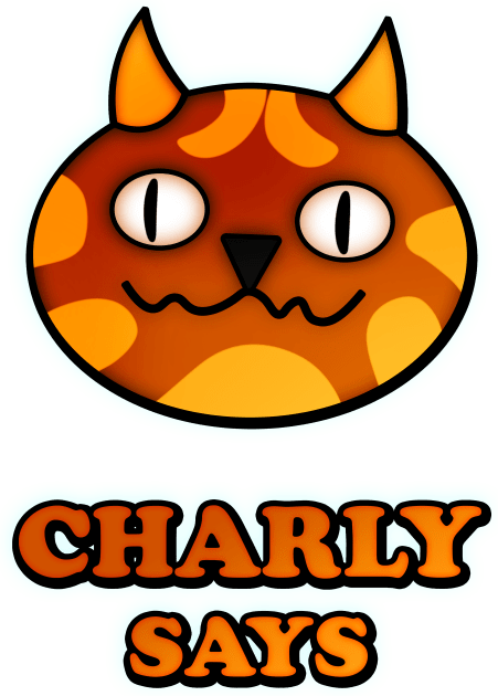 CHARLY SAYS Kids T-Shirt by KIMIDIGI