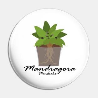 Mandragora Pin