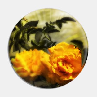Yellow roses floral with angelic sky Pin