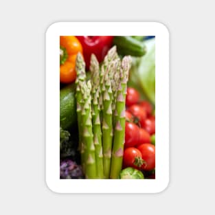 Group of various vegetables in closeup Magnet