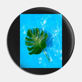 Monstera deliciosa plant floating on blue water Pin