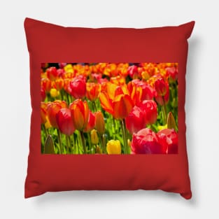 A full frame of tulips Pillow