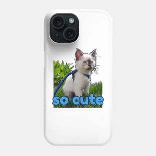 burmese little kitten, tortie Phone Case