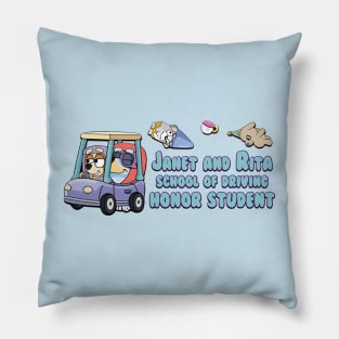 JANET AND RITA SCHOOL Pillow