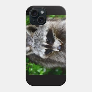 Raccoon Phone Case