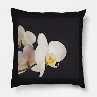 Black and White Orchid Pillow