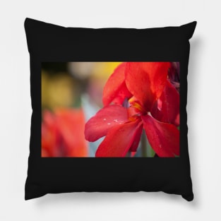 Red Reflections Pillow