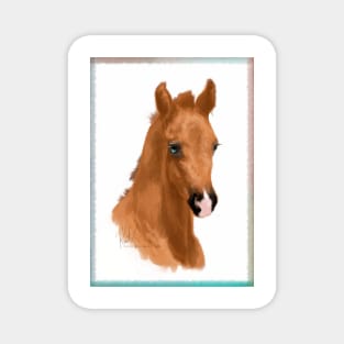 Red Foal Magnet