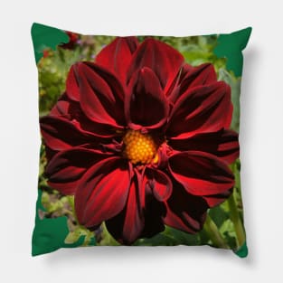 Bright Red Dahlia Pillow