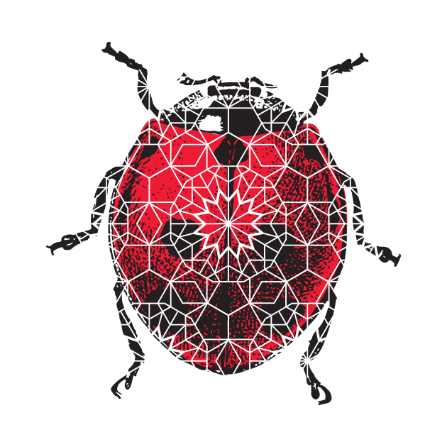 Ladybird ladybug Pattern by bullshirter