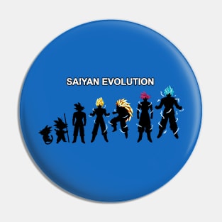 Evolution Anime Manga Superhero Warrior Gift For Anime Lovers Pin