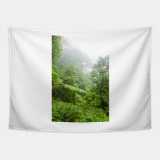 Misty rainforest in Monteverde cloud forest reserve Tapestry