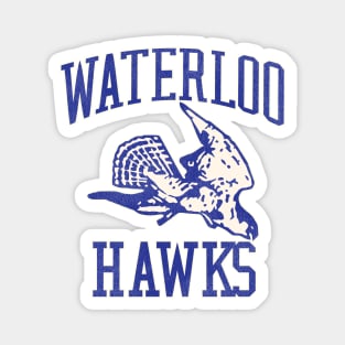 Defunct Waterloo Hawks Basketball Team Magnet