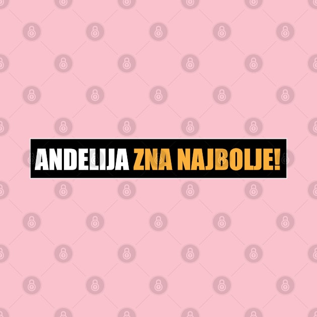 Andelija zna najbolje! by Marina Curic