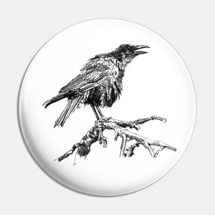 Crow Ink Drawing Pin