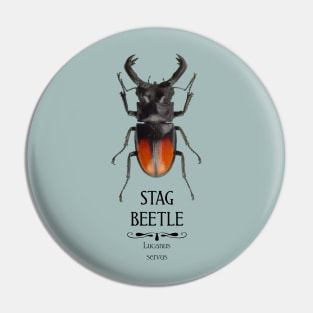 Stag Beetle Pin