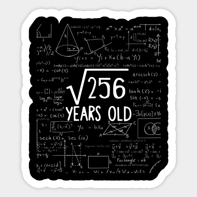 Square Root of 256: 16th Birthday 16 Years Old Sticker - Square Root - Sticker