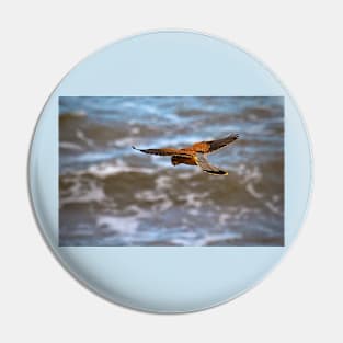 Kestrel over the sea Pin