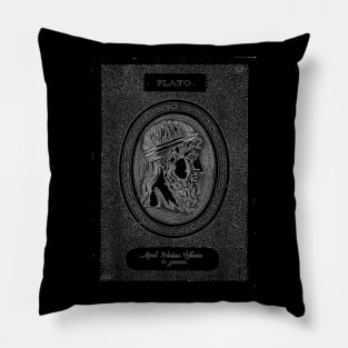 Philosopher Plato Philosophy Teacher gift Greek Plato Pillow