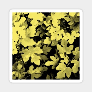 Fallen leaves, yellow, tan, gold, fall, autumn, leaves, pattern, leaf, botanical, xmas, christmas, spring, holidays, summer, tropical, Magnet