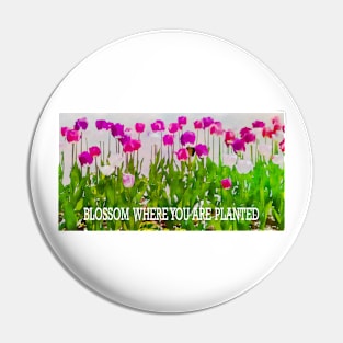 BLOSSOM WHERE YOU ARE PLANTED Pin