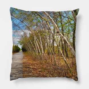 Bowing Birches Pillow