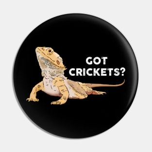 Funny Bearded Dragon Drawing, Got Crickets? Pin