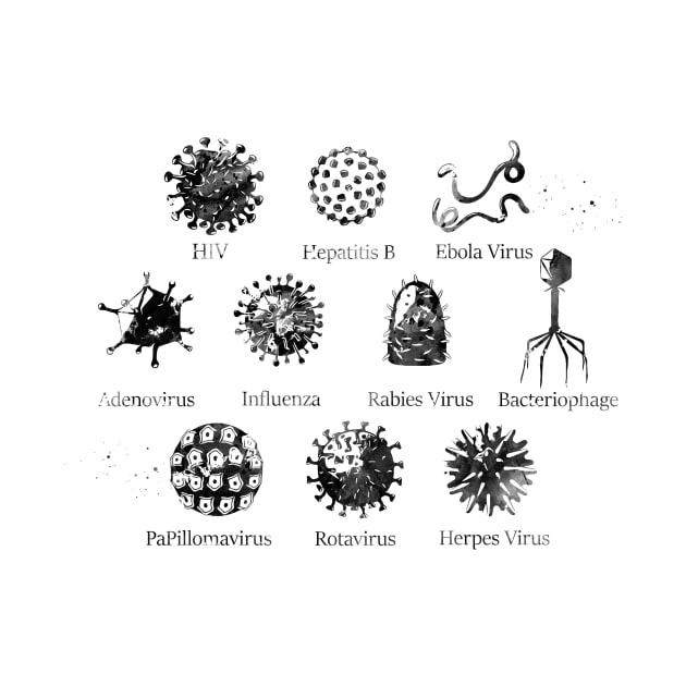 Diagram showing different kinds of viruses by erzebeth