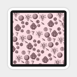 Vintage bathroom pink  geometric illustration botanical pattern gift. Magnet