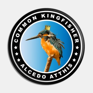 Fat Common Kingfisher (Alcedo Atthis) Bird Pin