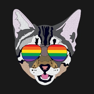 Cute Cat Sunglasses Gay LGBT Pride Flag T-Shirt